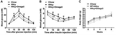 Omega-3FAs Can Inhibit the Inflammation and Insulin Resistance of Adipose Tissue Caused by HHcy Induced Lipids Profile Changing in Mice